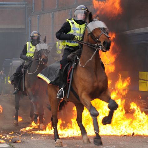 At The Horse Trust we continue to honour all who have served and sacrificed, from those on the front lines to the loyal animals who stood beside them. Meet Caton, one of the bravest police horses to ever serve with Lancashire Police! Known for his fearless attitude and a signature swagger, Caton led his fellow horses into any situation, big or small. Whether it was patrolling busy streets or managing large events, Caton was always ready to take the lead. Not only was Caton a fearless poli... Mounted Police Horses, Police Horse, Mounted Police, Deer Photos, The Loyal, Horse Photos, Law Enforcement, Beautiful Horses, Dressage