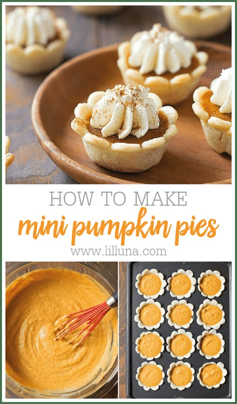 Mini pumpkin pies are everything you love about a smooth and creamy homemade pumpkin pie, in a cute & tasty bite sized portion!! #minipumpkinpie #pumpkinpie #minipie #thanksgiving #pumpkin Miniature Pumpkin Pie, Pillsbury Mini Pumpkin Pies, Mini Pies Pillsbury, Homemade Mini Pumpkin Pies, Pillsbury Mini Pies, Mini Pie Pan Recipes, Mini Pumpkin Pie Flowers, Pumpkin Pie Recipe Mini, Pumpkin Pie Appetizer