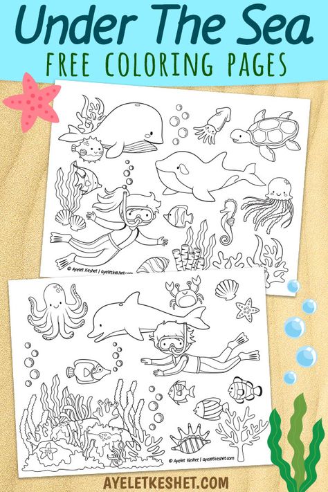 Under The Sea Free Printables, Aquarium Coloring Pages Free Printable, Printable Under The Sea, Ocean Coloring Pages Preschool, Sea Animal Printables Free, Under The Sea Colouring, Coloring Pages Under The Sea, Ocean Animal Printables Free, Free Printable Sea Creatures