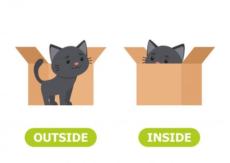 Illustration of opposites inside and outside. Card for teaching aid, for a foreign language learning. Vector illustration on white background, cartoon style. Inside Illustration, Inside And Outside, In And Out Opposites Preschool, Prepositions Activities For Kids, Opposite Flashcards, Cat In Box Illustration, Cat Looking Up Illustration, Opposites For Kids, Preposition In On Under Worksheet