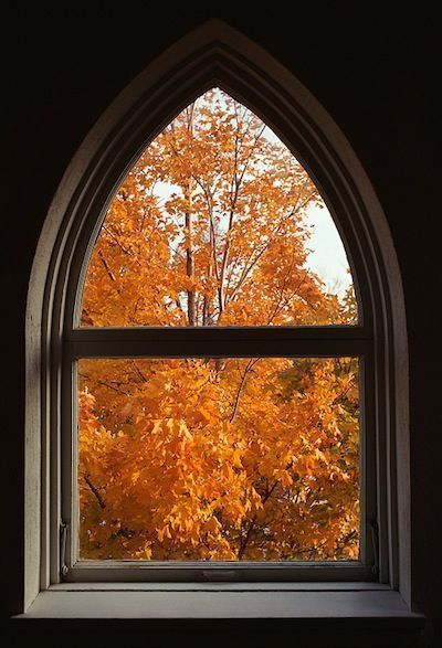 Classic Simplicity...Rose Pearls & Blue Jeans Tis Autumn, Window With A View, Thanksgiving Prayer, Gothic Windows, Fall Images, Fall Beauty, Phone Aesthetic, Fall Inspiration, Bountiful Harvest