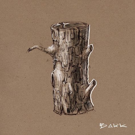 Tree Bark Drawing Texture, Tree Bark Sketch, Tree Bark Illustration, Log Sketch, Tree Bark Drawing, Tree Bark Painting, Bark Drawing, Tree Trunk Art, Tree Bark Art