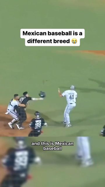 Baseball Videos | MLB Memes on Instagram: "Follow @batflipbombz if you love baseball! 🤝 He’s gotta be banned for life… right? 💀" Savannah Bananas Baseball Videos, Baseball Memes Funny, Baseball Memes, Baseball Funny, Baseball Videos, Baseball Hitting, Little League Baseball, Baseball Humor, Fandom Funny