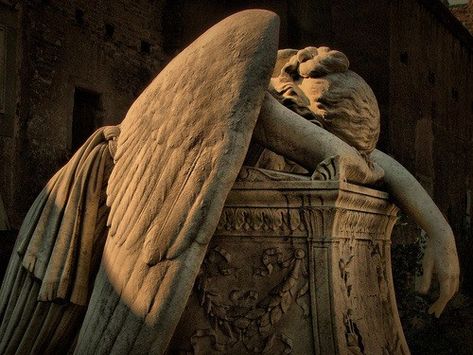 Dr Mundo, Dark Acadamia, Greek Tragedy, Weeping Angel, Angel Statue, Angel Aesthetic, Angel Statues, Dark Academia Aesthetic, The Secret History