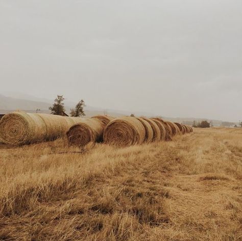 Prairie Aesthetic, Alphonse Elric, Hay Bales, Over The Garden Wall, Foto Art, Stardew Valley, Cloudy Day, The Ranch, Wizard Of Oz