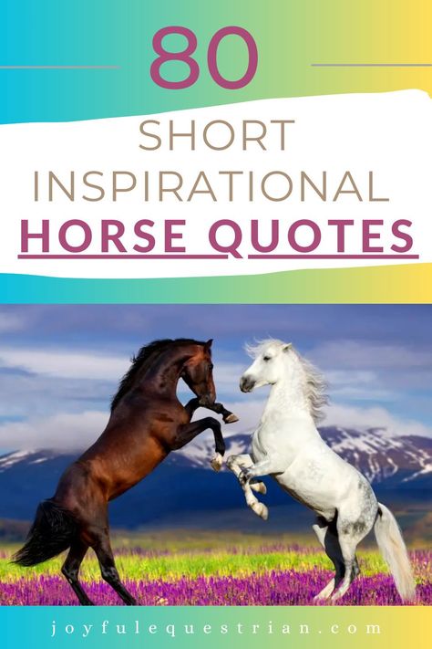 Looking for a dose of equestrian inspiration? Dive into these short and powerful horse quotes to uplift your spirit and celebrate your love for these majestic creatures. Perfect for horse lovers, riders, and even non-equestrians. 🐎💬 #EquestrianQuotes #HorseLove #ShortQuotes #InspirationalQuotes #JoyfulEquestrian #HorseLovers #EquineInspiration #HorseRiding Horse Poems, Equine Quotes, Rainbows And Unicorns, Inspirational Horse Quotes, Horse Riding Quotes, Equestrian Quotes, Horse Riding Tips, Horse Inspiration, Horse Feed