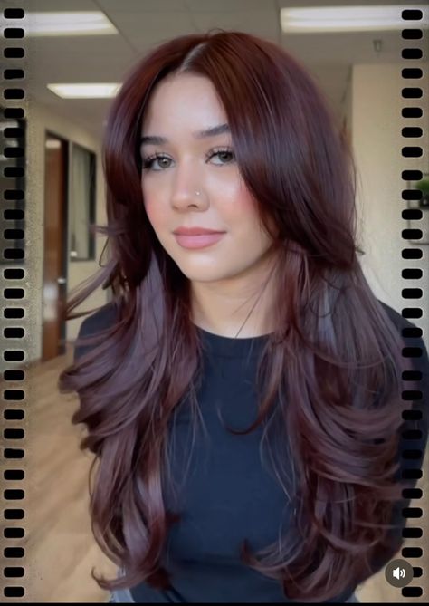 Burgundy Hair 2023, Dark Brown Hair With Red Violet Highlights, Cherry Red Hair With Long Layers, Red Hair For Black Hair, Red Hair With Pale Skin, Long Red Layered Hair, Red Hair Purple Undertone, Brownish Maroon Hair, Cool Tone Fashion Color Hair