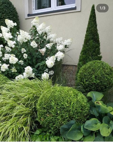 White And Green Flower Beds, Purple And White Landscaping Front Yards, Green And White Gardens Landscapes, Purple White And Green Landscaping, Bush With White Flowers, Front Yard Garden, Home Landscaping, White Gardens, Outdoor Landscaping