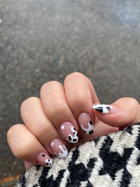 Cow Spot Nails, Cow Nails Almond Shape, Cow Face Nails, Cute Cow Nail Designs, Cow French Nails, Almond Cow Print Nails, Cow Nail Ideas, Nail Designs Cow Print, Cow Nails Designs