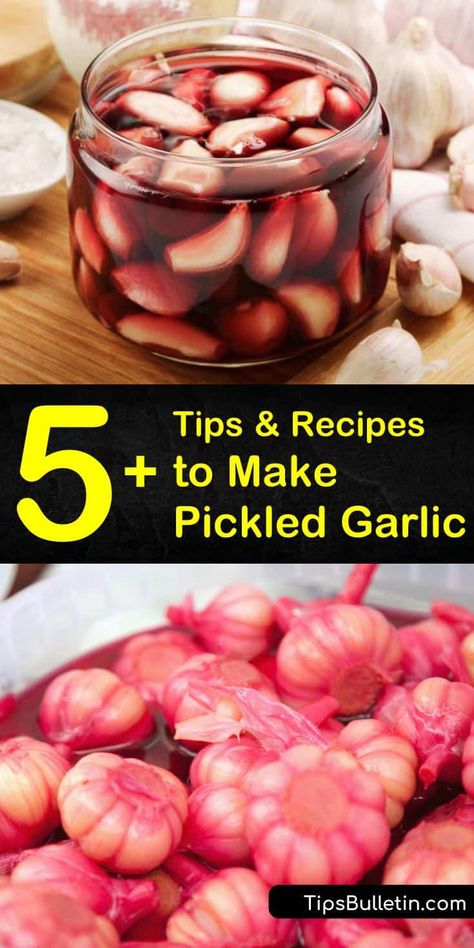 5+ Simple Recipes to Make Pickled Garlic Pickled Garlic Recipes, Pickle Onions Recipe, Pickle Recipes Homemade, Canned Food Storage, Pickled Garlic, Fermentation Recipes, Pickled Veggies, Veggie Dip, Pickled Vegetables