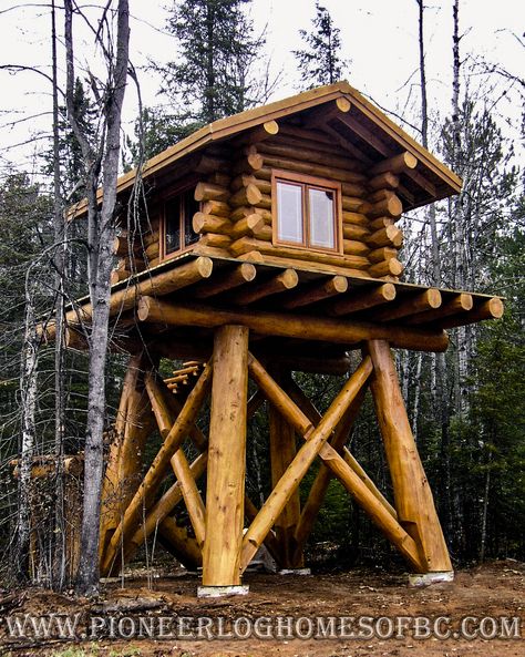 Deer Hunting Stands, Hunting Stands, Deer Blind, Small Log Cabin, Cool Tree Houses, Hunting Cabin, Tree House Designs, Deer Stand, Hunting Blinds