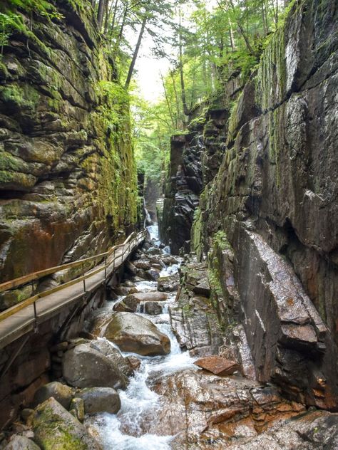 The Flume Gorge – Franconia Notch State Park - Steph Purk Flume Gorge New Hampshire, Franconia New Hampshire, Flume Gorge, Franconia Notch, New England Travel, New England Fall, Budget Vacation, Budget Planer, White Mountains