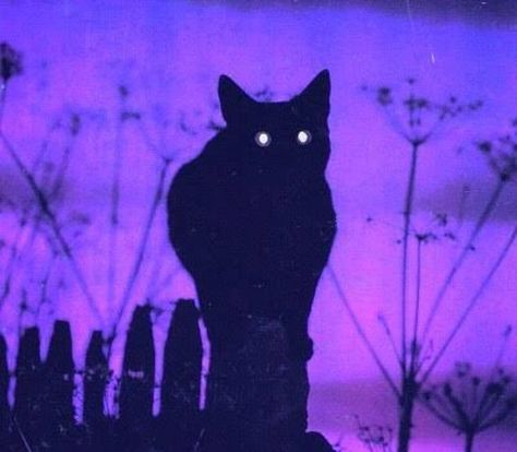 App Ikon, Baba Jaga, Violet Aesthetic, Yennefer Of Vengerberg, Catty Noir, Purple Vibe, Lavender Aesthetic, Dark Purple Aesthetic, Welcome To Night Vale