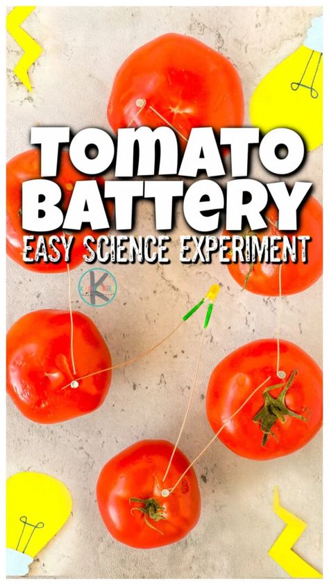 Tomato Activities Preschool, Tomato Crafts For Kids, Pop Rocks Experiment, Dancing Raisins, Watermelon Activities, Kindergarten Science Experiments, Electricity Experiments, Homemade Bubble Solution, Balloon Experiment