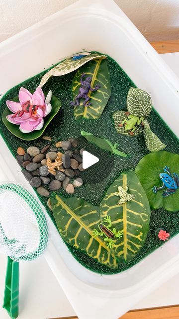 Sarah Nagengast on Instagram: "Frog slime sensory bin. #momsofinstagram #moms #sensoryplay #sensorybin #teachers #teacherlife #toddlerplay #kidsplay #kidsactivities" Slime Sensory Bin, Baby Education, Toddler Play, Sensory Bin, Blue Bloods, Sensory Bins, Sensory Activities, Sensory Play, Teacher Life