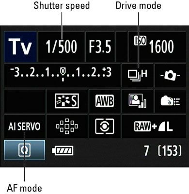 Canon Camera Settings, Canon 1200d, Sports Photography Tips, Dslr Quotes, Canon 60d, Fast Shutter Speed, Photography Settings, Dslr Photography Tips, Dslr Photography