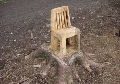 25 Ideas to Recycle Tree Stumps for Garden Art and Yard Decorations Tree Chair, Natural Chair, Carved Chairs, Tree Stumps, Tree Carving, Chainsaw Carving, Log Furniture, Tree Sculpture, Tree Stump