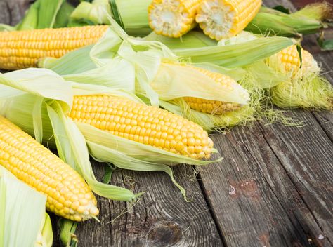 How to Freeze Corn on the Cob Without Blanching Freezing Fresh Corn, Growing Sweet Corn, Freezing Corn, Lahan Pertanian, Healthy Corn, How To Make Corn, Corn Pudding, Corn Seed, White Corn