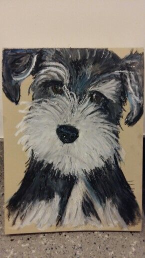 Oil pastel schnauzer puppy Schnauzer Drawing, Schnauzer Art, Simple Acrylic, Schnauzer Puppy, Mini Schnauzer, Simple Acrylic Paintings, Cute Easy Drawings, Painting Class, Acrylic Paintings