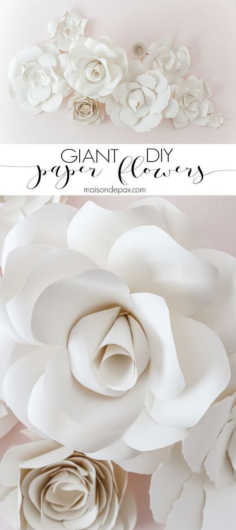 DIY Paper Flowers: Incredible! Learn how to make these gorgeous, elegant, giant paper flowers with this step by step tutorial. Samaria Leah, Construction Paper Flowers, Giant Paper Flower Tutorial, Giant Paper Flowers Diy, White Paper Flowers, Diy Fleur, Lounge Outfits, Diy Flores, Fleurs Diy