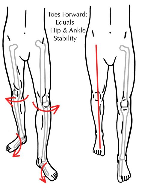 Alignment - Form Equals Function - Prehab Exercises Body Muscle Anatomy, Hip Alignment, Alexander Technique, Glute Activation, Yoga Guide, Spine Health, Hip Flexor Stretch, Muscle Anatomy, Yoga Therapy