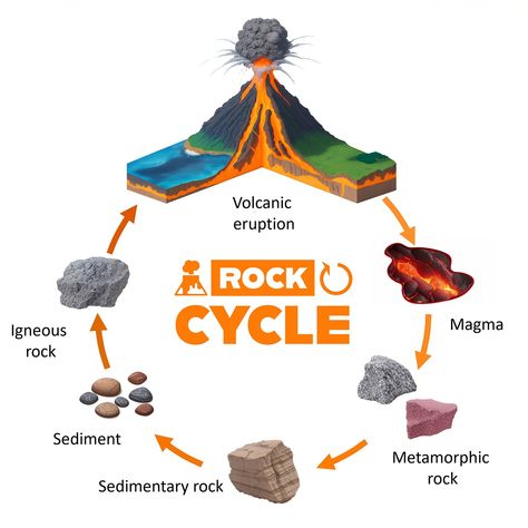 The Rock Cycle The Rock Cycle Projects, 3d Rock Cycle Project, Rock Cycle Diagram, Rock Cycle Project, Natural Resources Lesson, Geology Lessons, Geography Notes, Types Of Rocks, Geography Classroom