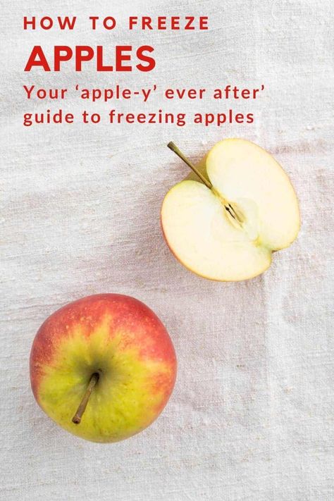 Never run out of apples again with these three nifty ways CookingChew has discovered to freeze them to perfection. In this brief guide you’ll learn just how amazing apples are, and not just because they can provide that familiar juiciness and freshness! Can You Freeze Apples, How To Freeze Apples, Freeze Apples, Preserve Apples, Preserving Apples, Freezing Apples, Cookie Tray, No Bake Pies, Apple Pies Filling