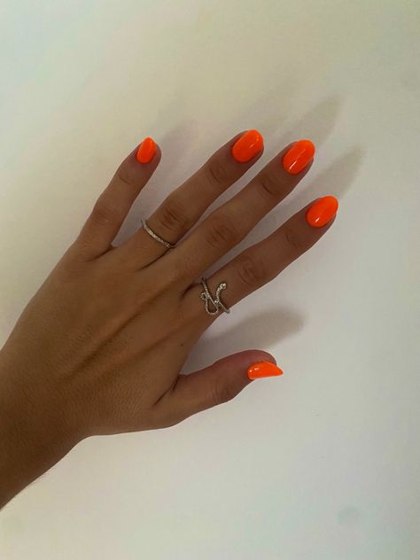 Bright Purple Summer Nails, Nails Solid Color Summer, Solid Nail Color Ideas Summer, Michigan Nails, Pr Nails, Neon Purple Nails, Bright Colored Nails, Bright Orange Nails, Bright Summer Acrylic Nails