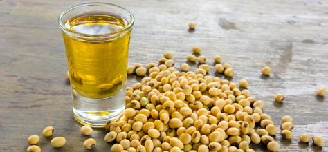 Soybean oil is a popular vegetable oil used for cooking, baking & salads. Mentioned are the soybean oil benefits for you to know so that it can be included in your diet Light Diet, Soy Oil, Refined Oil, Soya Bean, Improve Heart Health, Sunflower Lecithin, Oil Pulling, Edible Oil, Reduce Cholesterol