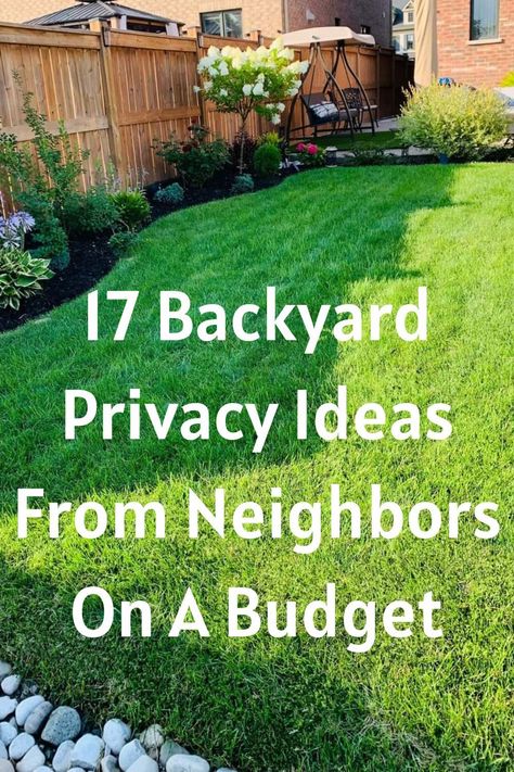 Creative Landscaping Ideas for a Stunning Garden (#97) - Vertical Gardens Backyard Privacy Ideas From Neighbors Fence, Neighbor Privacy Ideas Backyard, Backyard Patio Privacy Ideas, Small Garden Privacy Ideas, Diy Outdoor Privacy Ideas, Ideas For Privacy From Neighbors, Garden Screening Ideas Cheap, Add Privacy To Backyard, Adding Privacy To Backyard