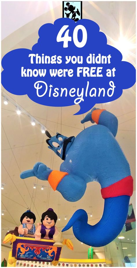 Disneyland Trip Planning, Disneyland Vacation Planning, Disneyland Secrets, Disneyland Anaheim, Disneyland Planning, Disneyland Pins, Disney On A Budget, Disneyland California Adventure, Disneyland Tips