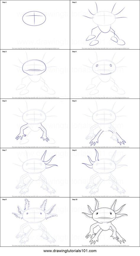 Weird Looking Animals, Axolotl Cute, Draw Tutorial, Draw Step By Step, How To Draw Steps, Drawing Sheet, Art Lessons Elementary, Step Drawing, Art How