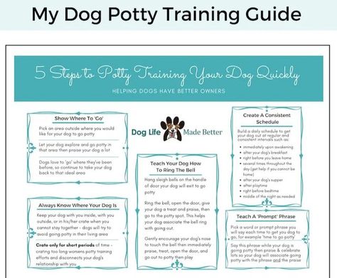 Dog training tips on Instagram: "TIPS 🙏 Tag someone who need see this 🙏 If you don’t know how to make your dog listen to you or you want your dog to stop barking uncontrollably, digging and jumping up all the time within a couple of weeks?? Join “Brain Training For Dogs” ➡️➡️ Link in my bio @dogtraining_68 - To understand dogs, you have to understand canine body language. - Educating an unruly pet dog can feel like a complicated task, but all it takes is a bit of knowledge and also some patien Potty Training Printable, Puppy Training Schedule, Dog Breakfast, Dog Remedies, Potty Training Guide, Puppies Tips, Helping Dogs, Puppy Potty Training, Training A Puppy