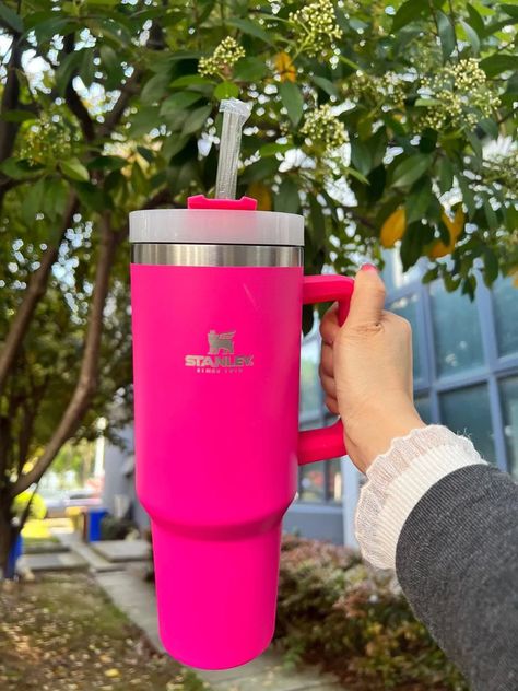 Hot pink Stanley Camping Cups, Pink Cups, Logo Mugs, Bag Pack, Stanley Quencher, Coffee Tumbler, Beer Mugs, Stainless Steel Cups, Insulated Mugs