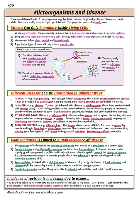 Microorganisms Notes Class 8, Microorganisms Notes, Medstudent Notes, Microorganisms Microbiology, Microbiology Study, Nursing School Studying Cheat Sheets, Bio Notes, Learn Biology, Biology Worksheet