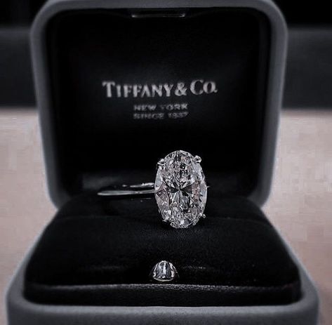 Tiffany Engagement, Tiffany Engagement Ring, Dream Wedding Ring, Future Engagement Rings, Dream Engagement Rings, Classy Jewelry, Beautiful Engagement Rings, Expensive Jewelry, Jewelry Lookbook