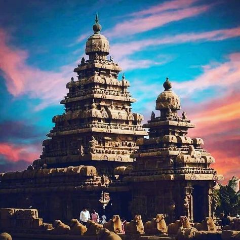 Shore Temple, Mamallapuram, Tamilnadu Temples In Tamilnadu, Tamilnadu Tourist Places, Kumari Kandam, Shore Temple, Hindu Architecture, Ancient Carvings, Face Art Painting, Temple Drawing, Ancient Drawings