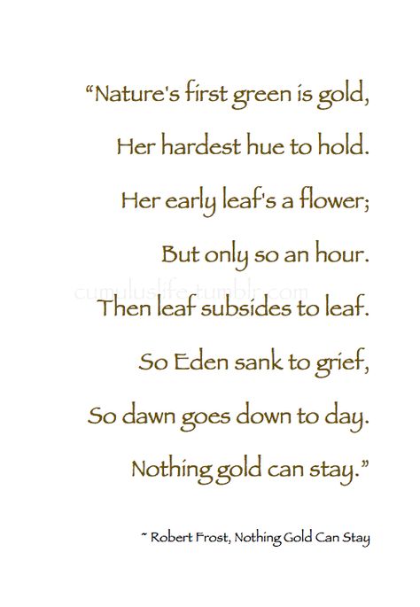 ~ Autumn ~ “Nature's first green is gold , Her hardest hue to hold . . . So dawn goes down to day. Nothing gold can stay.” ~ Robert Frost, Nothing Gold Can Stay #October_Poetry Stay Gold Poem, Stay Quotes, Autumn Poetry, Flower Poetry, Robert Frost Quotes, Autumn Quote, Poems About School, Robert Frost Poems, Nature Poem