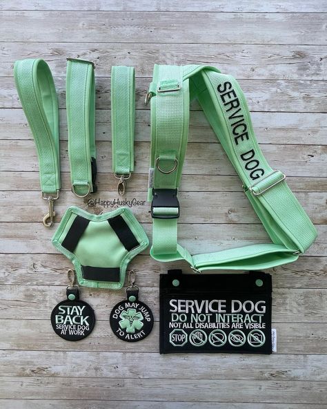 All Posts • Instagram Mobility Service Dog Gear, Small Service Dog, Cai Characters, Luke Dunphy, Service Dog Gear, Service Dog Harness, Happy Husky, Pinterest Collage, Service Dog Patches