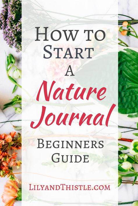 How to Start a Nature Journal – A Beginners Guide Journal Prompts For Kids, Homeschool Nature Study, Botanical Sketchbook, Field Journal, Nature Journaling, Nature Sketch, Garden Journal, Kids Journal, Journal Aesthetic