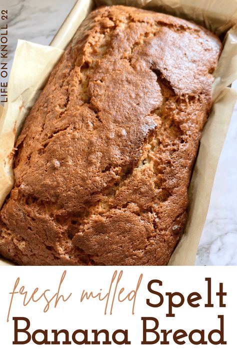 This spelt banana bread recipe uses 100% fresh milled spelt flour to make a delicious moist loaf that is sure to become a family favorite! Whole Grain Spelt Recipes, Fresh Milled Flour Banana Bread, Fresh Milled Banana Bread, Spelt Flour Banana Bread, Spelt Banana Bread, Banana Bread Gf, Wheat Berry Recipes, Spelt Bread Recipe, Spelt Flour Recipes