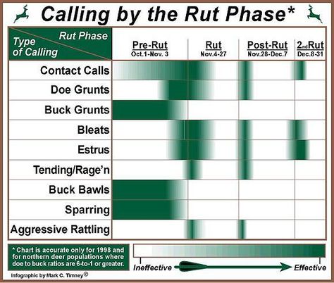 Deer Grunting - Bowsite.com Bowhunting Supersite Bow Hunting Deer, Whitetail Hunting, Deer Calls, Whitetail Deer Hunting, Deer Hunting Tips, Quail Hunting, Hunting Quotes, Hunting Stuff, Deer Season