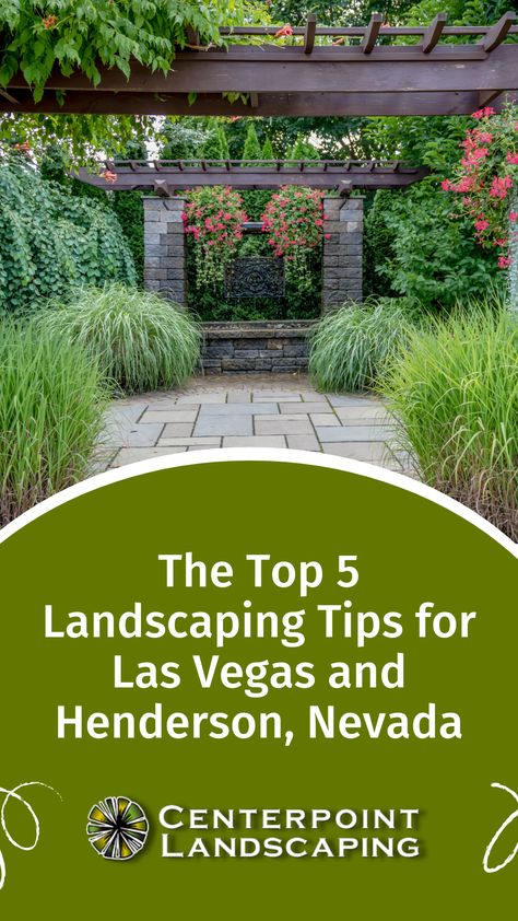 Nevada Yard Landscaping, Las Vegas Front Yard Landscaping Ideas, Las Vegas Backyard Landscaping Ideas, Nevada Backyard Landscaping, Vegas Landscaping Ideas, Las Vegas Landscaping Ideas, Northern Nevada Landscaping Ideas, Las Vegas Backyard Ideas, Desert Landscaping Front Yard Las Vegas