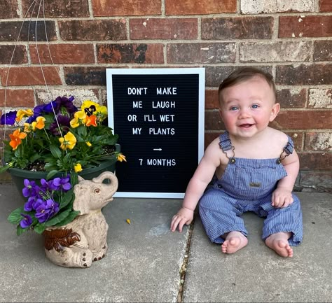 8 Month Letter Board, 7 Month Letter Board Ideas, Sia Pics, Milestone Ideas, Baby Holiday Photos, 8 Month Baby, Baby Milestones Pictures, Monthly Baby Pictures