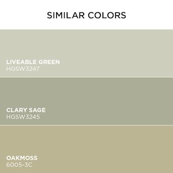 Softened Green, Sage Paint, Paint Primer, Clary Sage, Front Entry, Paint Colors For Home, Dream House Plans, Future Life, Interior Paint