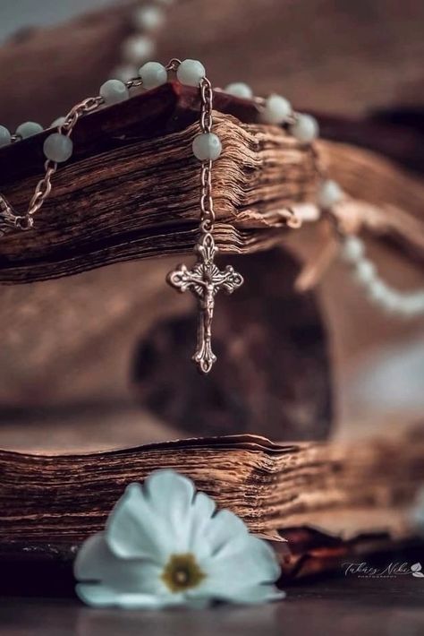 Beautiful World, Rosary, The Bible, A Girl, Romance, Bible, Tumblr, Design