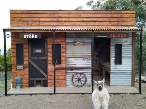 2 Story Goat House, Chicken Coop And Goat Pen, Lamb House Ideas, Chicken And Goat House, Goat And Chicken Pen, Small Goat House, Cute Goat House Ideas, Goat And Chicken House, Goat Platform Ideas