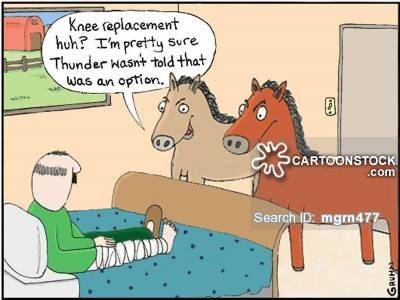 Knee cartoons, Knee cartoon, funny, Knee picture, Knee pictures, Knee image, Knee images, Knee illustration, Knee illustrations Knee Replacement Recovery, Surgery Humor, Recovery Humor, Hospital Humor, Get Well Messages, Acl Surgery, Cartoon Horse, Hip Surgery, Knee Surgery