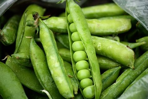 Perfectly Simple Fresh Buttered Peas -- This English peas recipe is the epitome of summer cooking! How to make peas that are simply prepared and amazingly fresh-tasting, in other words, total perfection... English Peas Recipe, Buttered Peas, Garden Vegetable Recipes, Fresh Peas, Southern Living Recipes, Peas Recipe, English Peas, Vegetable Side Dishes Recipes, Pea Recipes