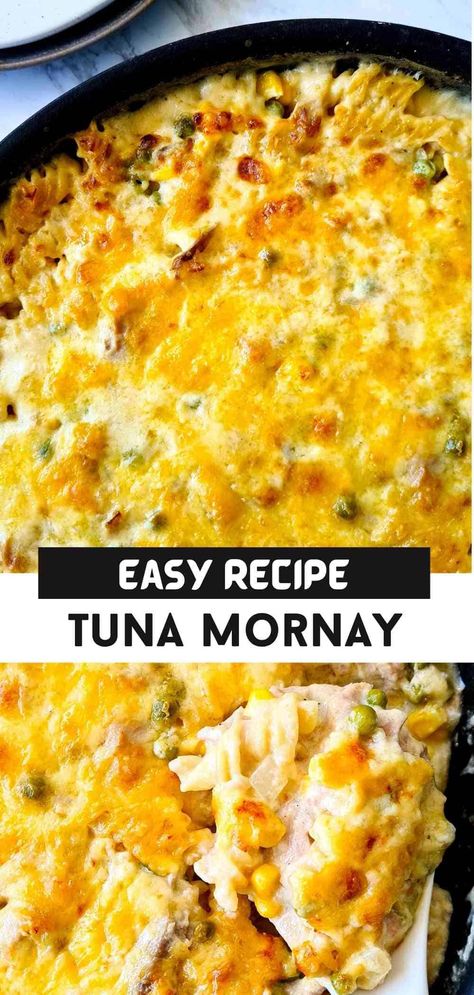 Tuna Mornay Pasta Bake, Creamy Tuna Casserole, Tuna Pasta Casserole, Tuna Mornay Recipe, Creamy Tuna Pasta Bake, Tuna Mornay, Easy Tuna Recipes, Tuna Dishes, Tuna Fish Recipes